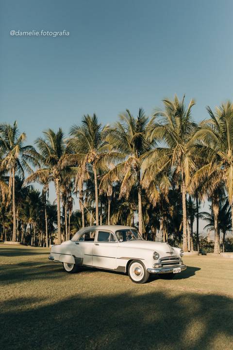 Detalhes do casamento no campo em Marília/SP'