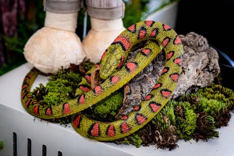 foto aniversario infantil, foto aniversario infantil em Alphaville, Espaço Villa 18 Alphaville, buffet infantil Alphaville, estação vai e vem, foto aniversario infantil espaço Lá Vem o Sol, salão de festa Alphaville, buffet planeta kids Alphaville.'