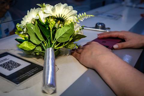 casamento civil Barueri, fotos de casamento no cartório, sessão de fotos no sítio, cerimônia de casamento civil, casamento no cartório de Barueri, casamento no sítio, amor e união, recém-casados, fotografia de casamento, fotógrafo de casamento, casamento '