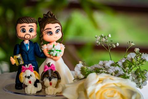 casamento civil Barueri, fotos de casamento no cartório, sessão de fotos no sítio, cerimônia de casamento civil, casamento no cartório de Barueri, casamento no sítio, amor e união, recém-casados, fotografia de casamento, fotógrafo de casamento, casamento '