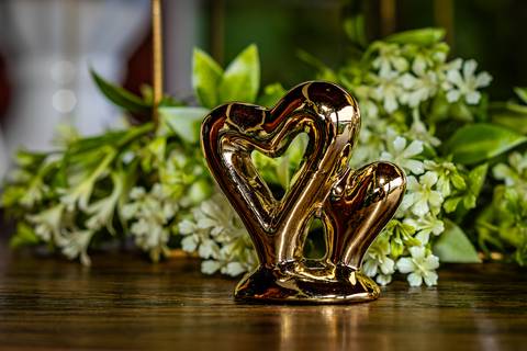 casamento civil Barueri, fotos de casamento no cartório, sessão de fotos no sítio, cerimônia de casamento civil, casamento no cartório de Barueri, casamento no sítio, amor e união, recém-casados, fotografia de casamento, fotógrafo de casamento, casamento '