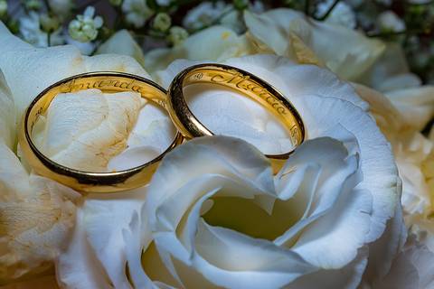 Fotografia de casamento no campo em Itu. foto casamento no campo foto das alianças em cima de uma flor branca'