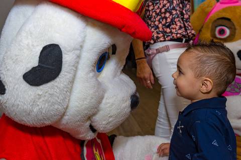 fotografia infantil em Alphaville, decoração patrulha canina, tema patrulha canina, fotógrafo aniversário infantil em alphaville, foto aniversário infantil. Fotografia de aniversário com a Patrulha Canina. Aniversário patrulha canina.'