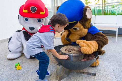 patrulha canina. fotografia infantil em Alphaville, decoração patrulha canina, tema patrulha canina, fotógrafo aniversário infantil em alphaville, foto aniversário infantil.'