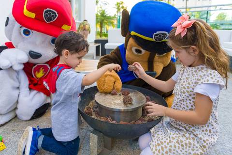 patrulha canina. fotografia infantil em Alphaville, decoração patrulha canina, tema patrulha canina, fotógrafo aniversário infantil em alphaville, foto aniversário infantil.'