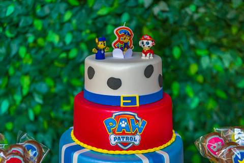 patrulha canina. fotografia infantil em Alphaville, decoração patrulha canina, tema patrulha canina, fotógrafo aniversário infantil em alphaville, foto aniversário infantil.'