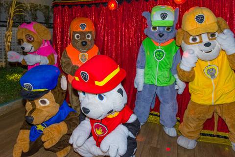 patrulha canina. fotografia infantil em Alphaville, decoração patrulha canina, tema patrulha canina, fotógrafo aniversário infantil em alphaville, foto aniversário infantil.'