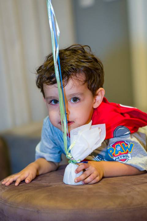 patrulha canina. fotografia infantil em Alphaville, decoração patrulha canina, tema patrulha canina, fotógrafo aniversário infantil em alphaville, foto aniversário infantil.'