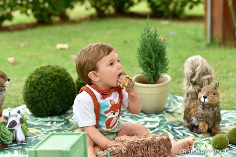 ensaio de Smash the Cake'