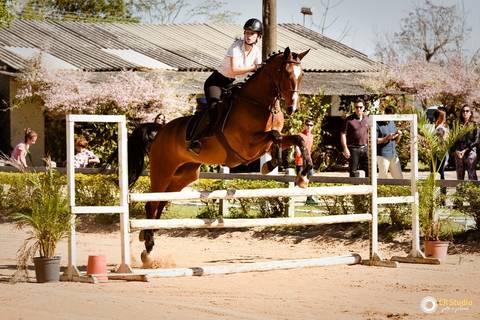 aniversário na hípica esplanada do sol'