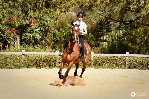 aniversário na hípica esplanada do sol'