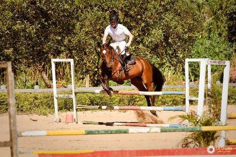 aniversário na hípica esplanada do sol'