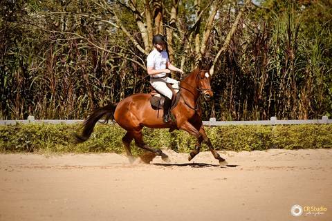 aniversário na hípica esplanada do sol'