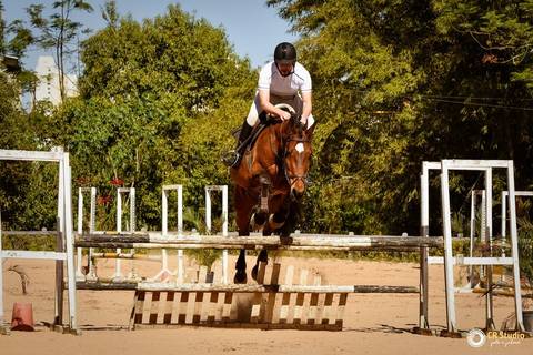 aniversário na hípica esplanada do sol'