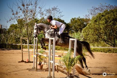 competição de cavalos '