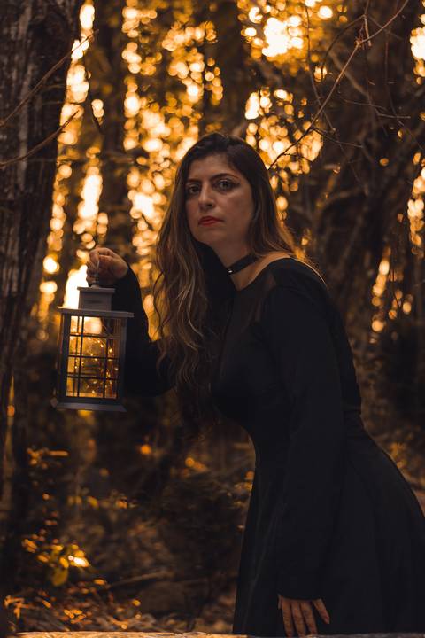 Bruxa, lanterna, vaga-lumes, fumaça, violino, floresta encantada, sombrio, wicca, fantasia, dark, neblina'