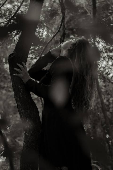 Bruxa, lanterna, vaga-lumes, fumaça, violino, floresta encantada, sombrio, wicca, fantasia, dark, neblina'