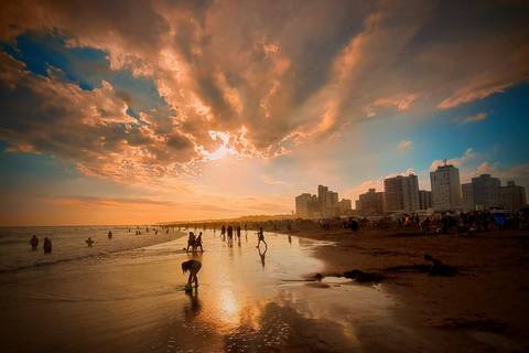 Diseño de autor-Paisaje
Maipú-Mendoza'