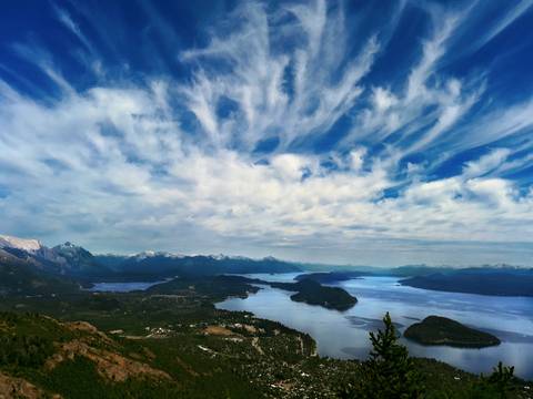 Diseño de autor-Paisaje
Maipú-Mendoza'