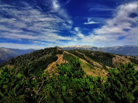 Diseño de autor-Paisaje
Maipú-Mendoza'