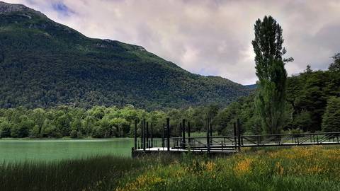 Diseño de autor-Paisaje
Maipú-Mendoza'