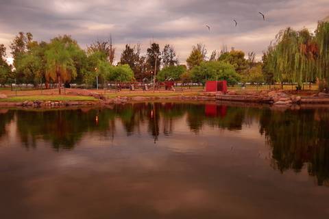Diseño de autor-Paisaje
Maipú-Mendoza'