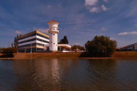 Diseño de autor-Paisaje
Maipú-Mendoza'