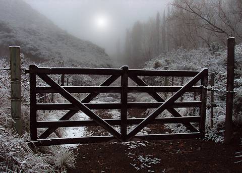 Diseño de autor-Paisaje
Maipú-Mendoza'