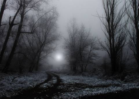 Diseño de autor-Paisaje
Maipú-Mendoza'