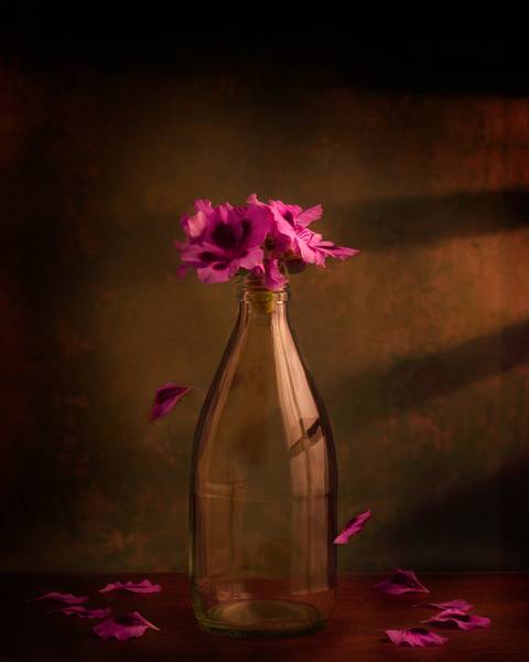 Diseño de autor-Ambiental
Maipú-Mendoza'