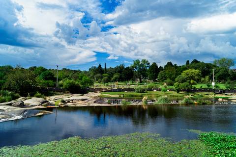 Diseño de autor-Paisaje
Maipú-Mendoza'