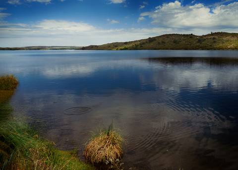 Diseño de autor-Paisaje
Maipú-Mendoza'