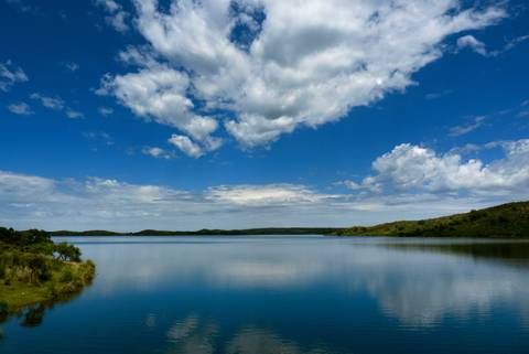 Diseño de autor-Paisaje
Maipú-Mendoza'