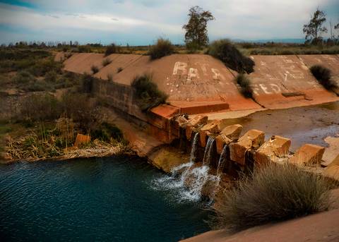 Diseño de autor-Paisaje
Maipú-Mendoza'