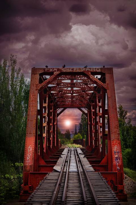 Diseño de autor-Paisaje
Maipú-Mendoza'