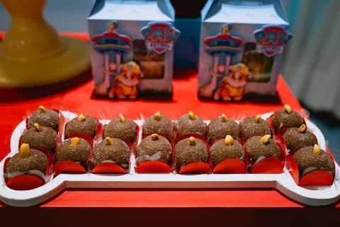 Decoração festa infantil - MARICOTA - Patrulha Canina'