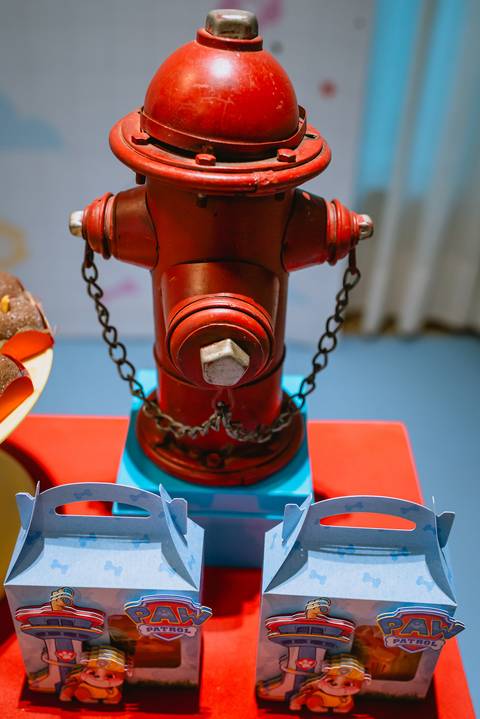 Decoração festa infantil - MARICOTA - Patrulha Canina'