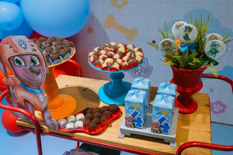 Decoração festa infantil - MARICOTA - Patrulha Canina'