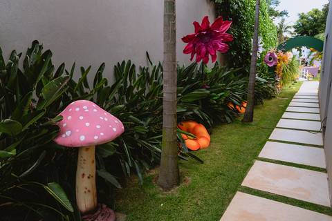 festa-festa infantil-decoração infantil-criança-foto de criança-família-fotógrafo infantil-'