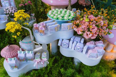 festa-festa infantil-decoração infantil-criança-foto de criança-família-fotógrafo infantil-'