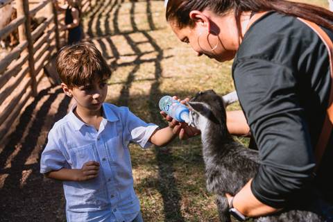 festa-festa infantil-decoração infantil-criança-foto de criança-família-fotógrafo infantil-'