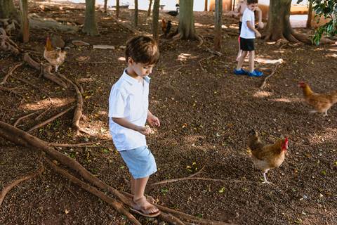 festa-festa infantil-decoração infantil-criança-foto de criança-família-fotógrafo infantil-'
