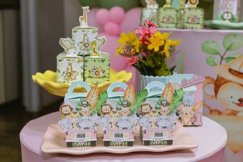 festa-festa infantil-decoração infantil-criança-foto de criança-família-fotógrafo infantil-'