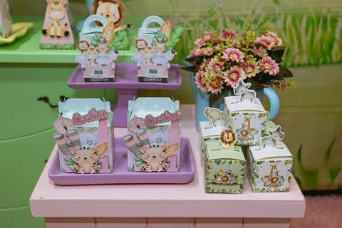 festa-festa infantil-decoração infantil-criança-foto de criança-família-fotógrafo infantil-'