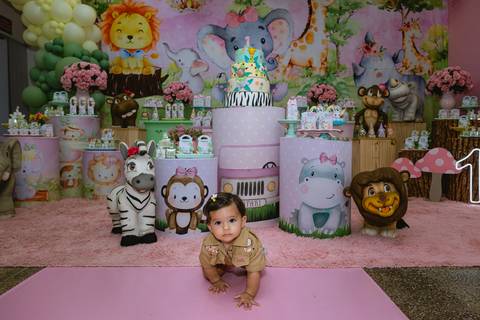 festa-festa infantil-decoração infantil-criança-foto de criança-família-fotógrafo infantil-'