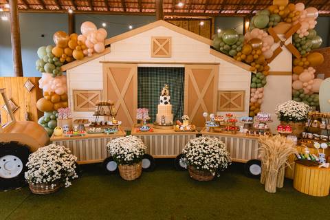 festa-festa infantil-decoração infantil-criança-foto de criança-família-fotógrafo infantil-'