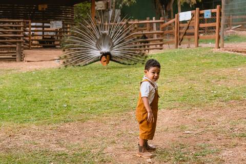 festa-festa infantil-decoração infantil-criança-foto de criança-família-fotógrafo infantil-'