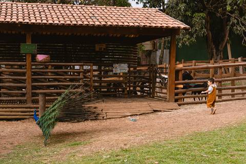 festa-festa infantil-decoração infantil-criança-foto de criança-família-fotógrafo infantil-'