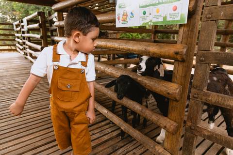 festa-festa infantil-decoração infantil-criança-foto de criança-família-fotógrafo infantil-'