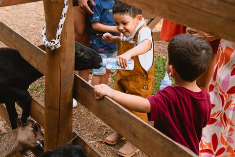 festa-festa infantil-decoração infantil-criança-foto de criança-família-fotógrafo infantil-'